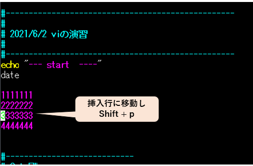 vi で 挿入行に移動しShift+p